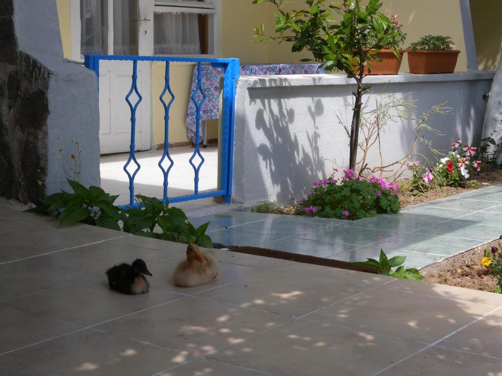 Eysan Pansiyon Akçay Extérieur photo